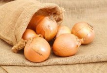 Как избежать слез при нарезке лука: действенные способы