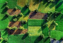 Десятки миллионов тенге отдали люди за несуществующую землю в Алматинской области