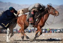 Кокпар со стрельбой устроили в Туркестанской области