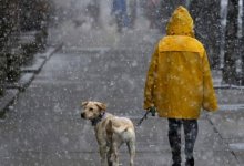 Метели и осадки пройдут 20 февраля в некоторых регионах Казахстана