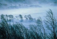 Сильный ветер и метели ожидаются в Казахстане 21 февраля