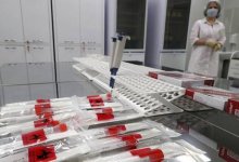 В России появилась тест-система, выявляющая мутации коронавируса