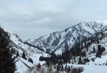 Тело женщины обнаружили в горах Алматы