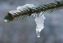 В выходные ожидается потепление в Казахстане