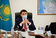 Глава Минэкологии осудил содержание животных в контактных зоопарках