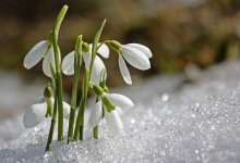 Какой будет погода в Казахстане в первые дни весны