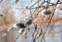 Какая погода ждет казахстанцев в марте