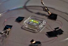 Ученые изобрели светящиеся OLED-татуировки