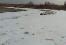 Река Усек в Алматинской области покрылась пеной