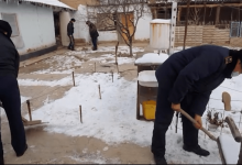 Помогают пожилым