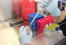 Свыше 500 заболевших коронавирусом выявили в Казахстане за сутки