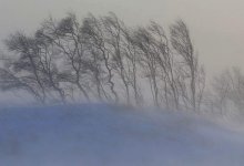 Женщина насмерть замерзла в Карагандинской области