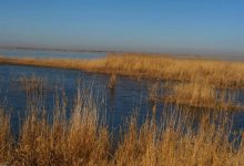 Минэкологии очистит одно из самых крупных озер на западе Казахстана