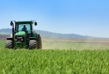 На проведение полевых работ выдали льготные кредиты на сумму более 31,5 млрд тенге