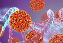 Названы вирусы, способные вызвать рак