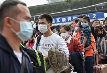 В Китае нашли четыре коронавируса, близких SARS-CoV-2