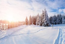 Потепление в Казахстане обещают синоптики 16-18 марта