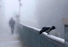 Штормовое предупреждение из-за тумана объявили в Казахстане 