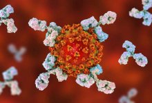 Названа причина появления новых штаммов коронавируса