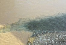 Канализационные стоки попали в реку в Шымкенте