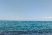 Акимат ВКО ответил на новость об осушении озера Алаколь