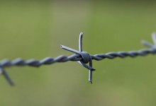 Бьют заключенных: ДУИС Мангистау проверит видео из СИЗО