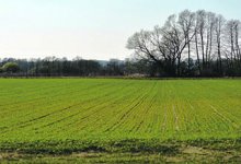 Сельхозземли должны принадлежать только государству – сенатор