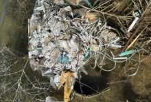 На побережье Капшагая обнаружены горы использованных шприцов