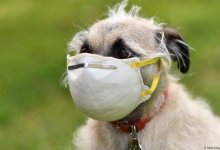 "Следующий этап" пандемии коронавируса: эксперт назвал пугающий прогноз