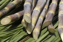 Производство без простоя