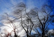 Сильный ветер и туман обещают синоптики 31 марта в Казахстане