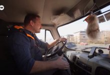 Немецкие туристы пожаловались на казахстанских полицейских-взяточников