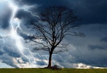 Дожди и ветер ожидаются на западе Казахстана 1-3 апреля