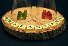 ВКО полностью закрывают на карантин. На границах выставили посты