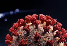 Ученые нашли слабое место у коронавируса