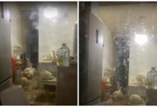 Жительница Актау живет с индейками и не пускает полицейских в квартиру