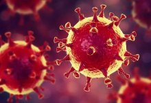 ВОЗ назвала число случаев заражения коронавирусом в мире