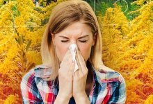 Весенняя аллергия повышает риск заражения коронавирусом – врач
