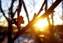 Синоптики объявили погоду в Казахстане на выходные