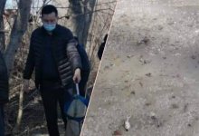 В Восточном Казахстане массово гибнет рыба