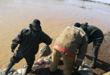 Паводки ожидаются в пяти областях Казахстана