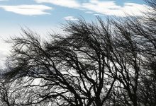 Усиление ветра прогнозируют синоптики в Казахстане на 13 апреля