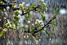 Грозовой апрель: казахстанцам сообщили о надвигающемся похолодании