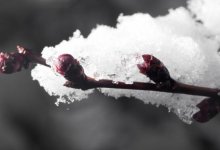 В Казахстане ожидаются снег и дождь