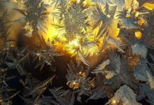 Мороз, туман и осадки обещают синоптики 19 апреля в Казахстане