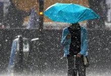 Заморозки, грозы и шквал ожидаются в Казахстане 20 апреля