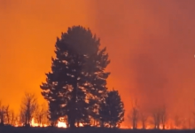 Локализовать пожар в лесу в Павлодарской области пока не удается