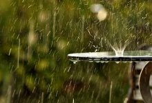 Дожди с грозами и гололед ожидаются в Казахстане 21 апреля