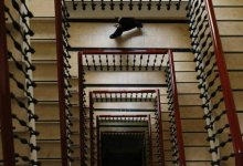 Найден простейший способ оценить здоровье сердца