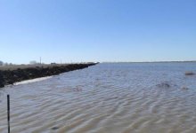 Талый переполох